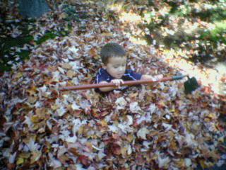 Caleb Playing in the Leaves with Grandpa